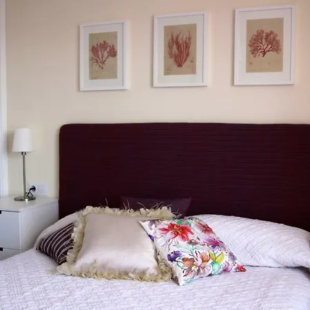 Apartment A/a Atico Centrico Con Encanto